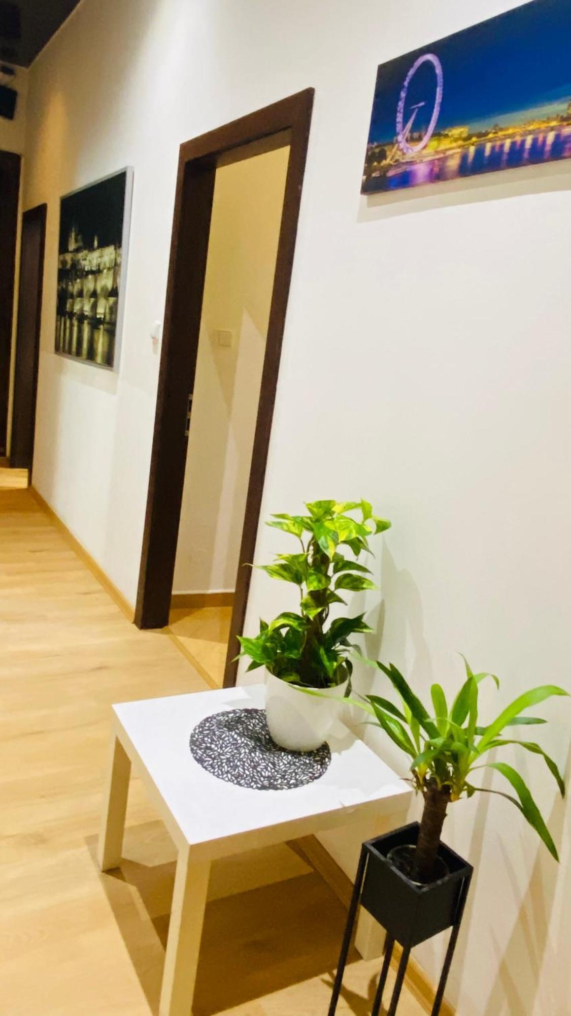 In 2 Square Apartment
